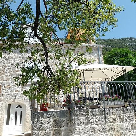 Holiday Apartments Maslina Paho Babino Polje Zewnętrze zdjęcie