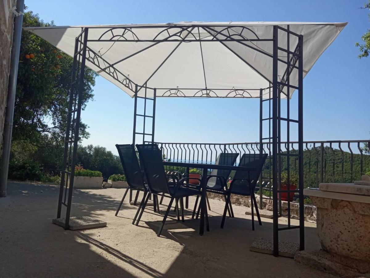 Holiday Apartments Maslina Paho Babino Polje Zewnętrze zdjęcie