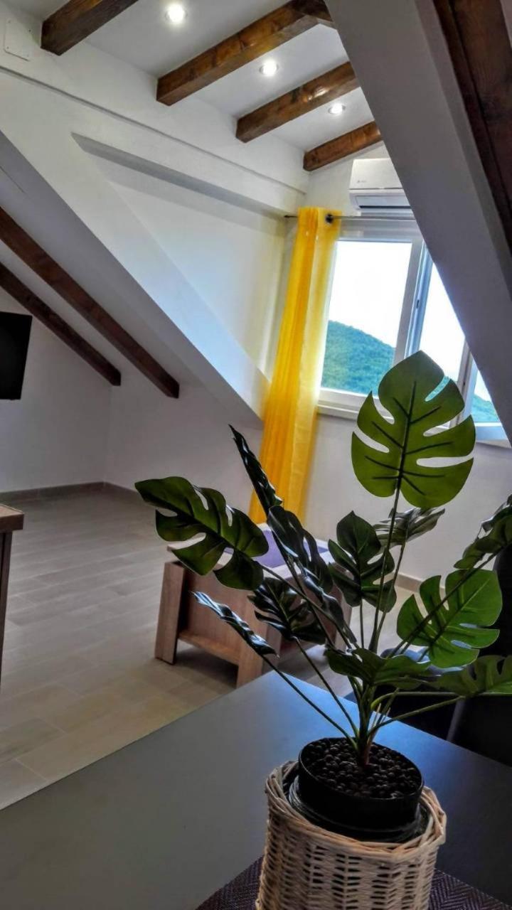 Holiday Apartments Maslina Paho Babino Polje Zewnętrze zdjęcie
